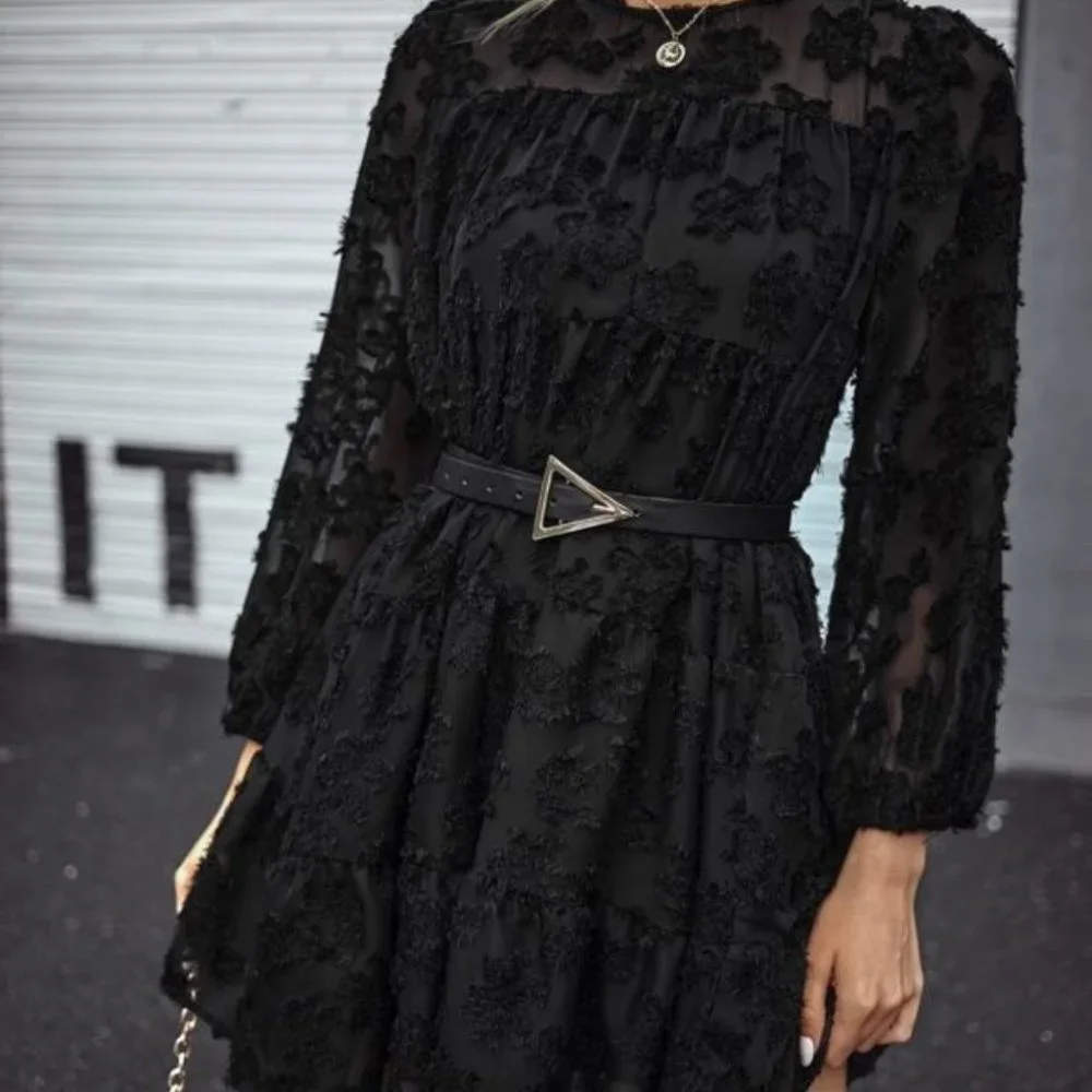 Black Floral Fuzzy Sheer Sleeve Ruffle Dress - Picture 1 of 7